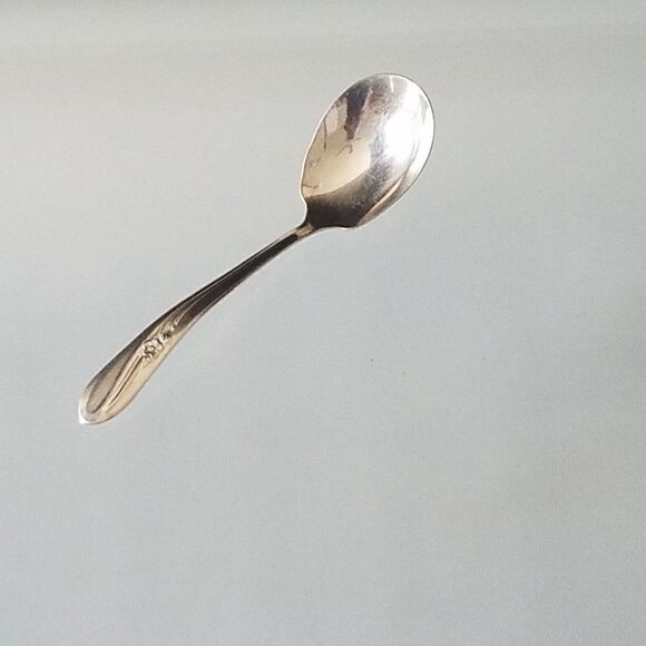 H&T Mfg Co 1940 Meadow Flower Pattern Condiment Serving Spoon Silverplated - Picture 2 of 11